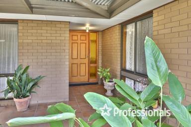 House For Sale - VIC - Mildura - 3500 - Neat 3-Bedroom Home with Endless Potential  (Image 2)