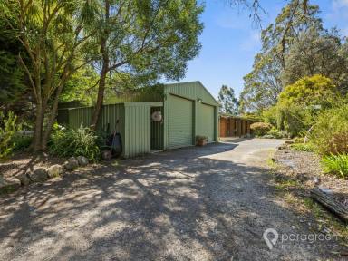 House For Sale - VIC - Wonga - 3960 - IDYLLIC COUNTRY RETREAT  (Image 2)