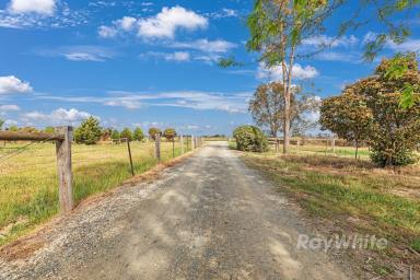 Mixed Farming For Sale - VIC - Tongala - 3621 - Discover Your Dream Country Retreat: 99 Acres of Serenity and Modern Comfort Await!  (Image 2)