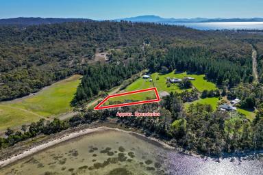 Residential Block For Sale - TAS - Saltwater River - 7186 - Over an Acre of Prime Coastal Land with Water Views  (Image 2)