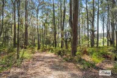 Residential Block For Sale - TAS - Turners Beach - 7315 - TIME FOR A SEACHANGE!  (Image 2)