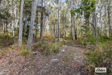 Residential Block For Sale - TAS - Turners Beach - 7315 - TIME FOR A SEACHANGE!  (Image 2)