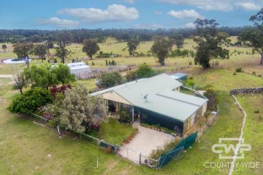 Mixed Farming For Sale - NSW - Torrington - 2371 - "Tungsten" Rural Property with Abundant Amenities  (Image 2)