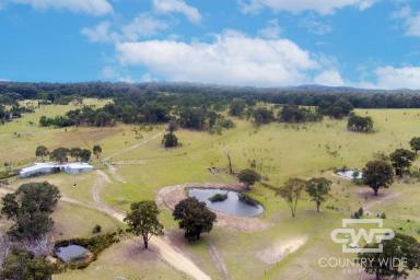 Mixed Farming For Sale - NSW - Torrington - 2371 - "Tungsten" Rural Property with Abundant Amenities  (Image 2)