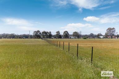 Other (Rural) For Sale - VIC - Woodvale - 3556 - Deceased Estate – 85.19 Ha / 210.5 Ac As A Whole Or In Two Lots - Cropping and Grazing  (Image 2)