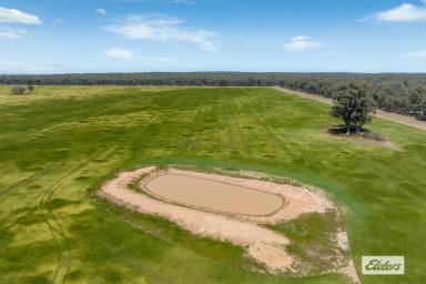 Other (Rural) For Sale - VIC - Newbridge - 3551 - Approx 310 Hectares / 766.7 Acres - Cropping and Grazing  (Image 2)