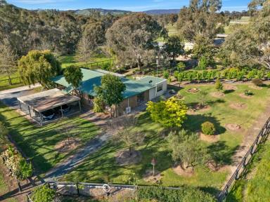 Other (Rural) For Sale - VIC - Whiteheads Creek - 3660 - Elite Thoroughbred Training Complex - A Premier Equine Haven  (Image 2)