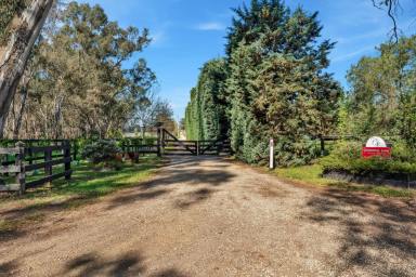 Other (Rural) For Sale - VIC - Whiteheads Creek - 3660 - Elite Thoroughbred Training Complex - A Premier Equine Haven  (Image 2)