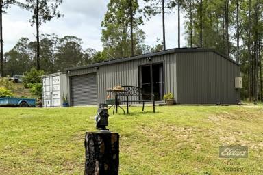 Residential Block For Sale - QLD - Glenwood - 4570 - JUST A PICTURE PERFECT PROPERTY  (Image 2)