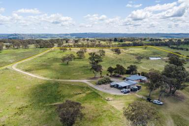 Lifestyle For Sale - NSW - Goulburn - 2580 - COUNTRY LIVING AT ITS BEST  (Image 2)