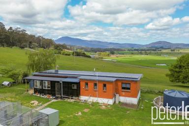 House For Sale - TAS - Tunnel - 7254 - Escape to the Country  (Image 2)