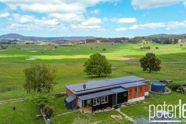 House For Sale - TAS - Tunnel - 7254 - Escape to the Country  (Image 2)