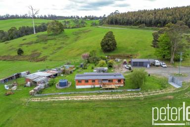 House For Sale - TAS - Tunnel - 7254 - Escape to the Country  (Image 2)