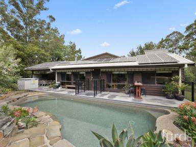 Lifestyle For Sale - NSW - Greta - 2334 - Big home, pool & shed on acreage in town!  (Image 2)