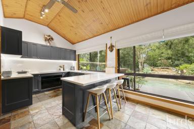Lifestyle For Sale - NSW - Greta - 2334 - Big home, pool & shed on acreage in town! (Image 2)