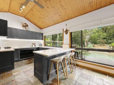 Lifestyle For Sale - NSW - Greta - 2334 - Big home, pool & shed on acreage in town!  (Image 2)