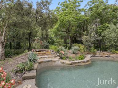 Lifestyle For Sale - NSW - Greta - 2334 - Big home, pool & shed on acreage in town!  (Image 2)