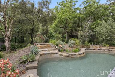 Lifestyle For Sale - NSW - Greta - 2334 - Big home, pool & shed on acreage in town! (Image 2)