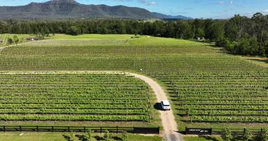 Lifestyle For Sale - NSW - Broke - 2330 - 'Greenway' - A Rare Opportunity to Purchase an Established Boutique Cellar Door, Weekender or Hobby Farm  (Image 2)