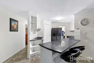 House For Sale - QLD - Torquay - 4655 - Vacant and Move in Ready- Highly Sought-After Torquay Location!  (Image 2)