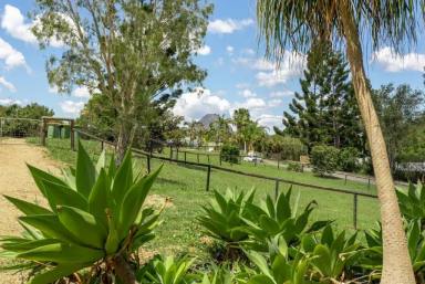 House For Lease - QLD - Cooran - 4569 - Charming 4-Bedroom Home in Cooran  (Image 2)