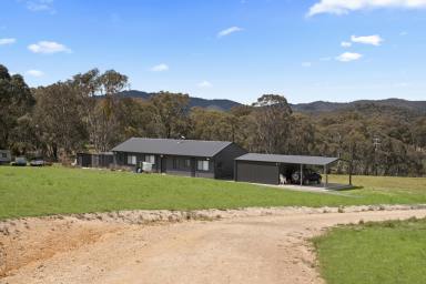 Lifestyle Auction - NSW - Crookwell - 2583 - A Turn Key Rural Retreat  (Image 2)