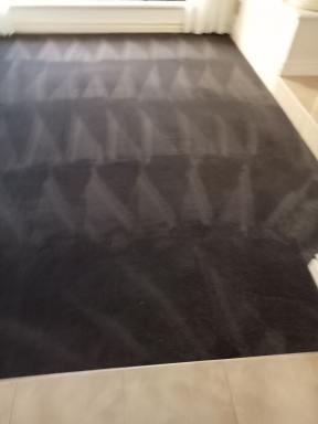 Business For Sale - WA - Winthrop - 6150 - URGENT SALE- Profitable Owner-Operator Carpet Cleaning Business Growth Potential (Image 2)