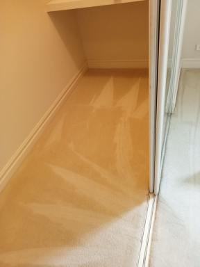 Business For Sale - WA - Winthrop - 6150 - URGENT SALE- Profitable Owner-Operator Carpet Cleaning Business Growth Potential (Image 2)