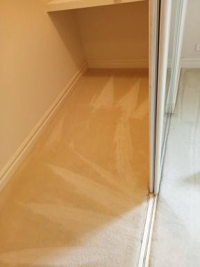 Business For Sale - WA - Winthrop - 6150 - Profitable Owner-Operator Carpet Cleaning Business Growth Potential  (Image 2)