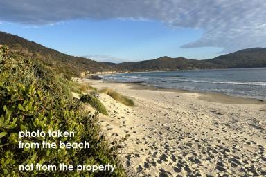 Residential Block For Sale - TAS - Eaglehawk Neck - 7179 - Prime Coastal Opportunity Overlooking Pirates Bay! Camp here NOW for Christmas and build later  (Image 2)