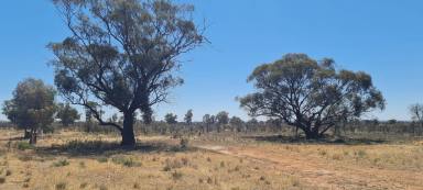 Residential Block For Sale - SA - Wilmington - 5485 - 2 acres of Nature and Views  (Image 2)