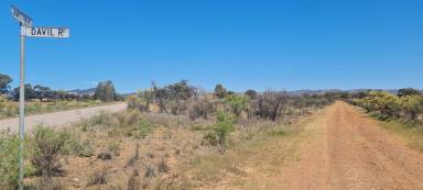Residential Block For Sale - SA - Wilmington - 5485 - 2 acres of Nature and Views  (Image 2)