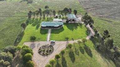 Other (Rural) For Sale - NSW - Warialda - 2402 - Clamally Park, Warialda  (Image 2)