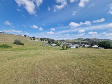 Residential Block For Sale - NSW - Gundagai - 2722 - Large vacant block in town  (Image 2)