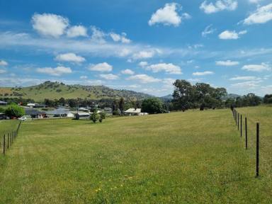 Residential Block For Sale - NSW - Gundagai - 2722 - Large vacant block in town  (Image 2)