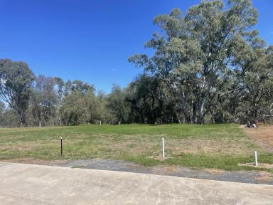 Residential Block For Sale - NSW - Howlong - 2643 - Build Your Dream Home in Howlong!  (Image 2)