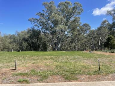 Residential Block For Sale - NSW - Howlong - 2643 - Build Your Dream Home in Howlong!  (Image 2)