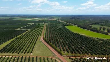 Cropping For Sale - QLD - Redridge - 4660 - Substantial Mixed Farming Operation  (Image 2)