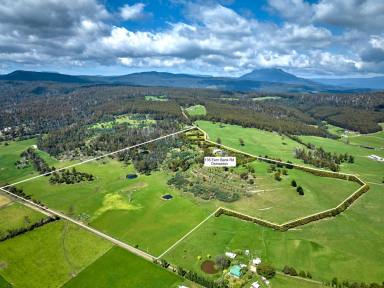 House For Sale - TAS - Osmaston - 7303 - Luxurious 5 Bedroom Farmlet  (Image 2)