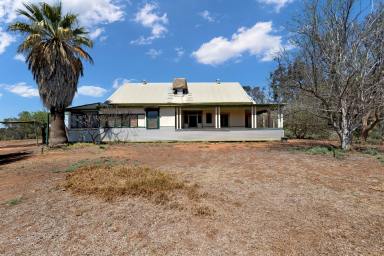 House Sold - VIC - Yelta - 3505 - Renovate or rebuild...the choice is yours!  (Image 2)