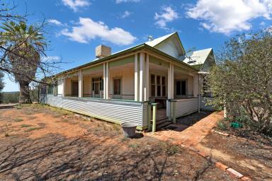 House Sold - VIC - Yelta - 3505 - Renovate or rebuild...the choice is yours!  (Image 2)