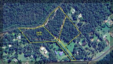 Residential Block For Sale - QLD - Cardwell - 4849 - PRICE DROP!! Rural Lifestyle Blocks in New Subdivision Close to Cardwell!!  (Image 2)