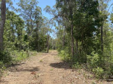 Residential Block For Sale - QLD - Cardwell - 4849 - Rural Lifestyle Blocks in New Subdivision Close to Cardwell!!  (Image 2)