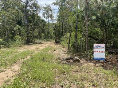 Residential Block For Sale - QLD - Cardwell - 4849 - Rural Lifestyle Blocks in New Subdivision Close to Cardwell!!  (Image 2)