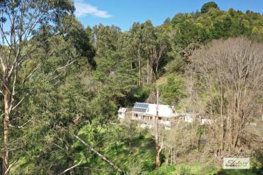 Other (Rural) For Sale - VIC - Gormandale - 3873 - "KOONGOORA"  (Image 2)