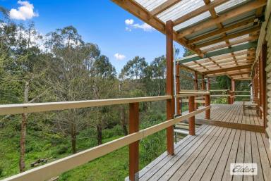 Other (Rural) For Sale - VIC - Gormandale - 3873 - "KOONGOORA"  (Image 2)