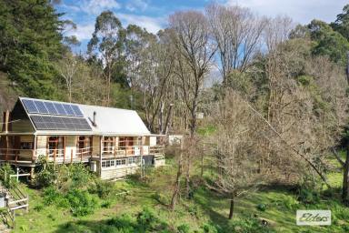 Other (Rural) For Sale - VIC - Gormandale - 3873 - "KOONGOORA"  (Image 2)