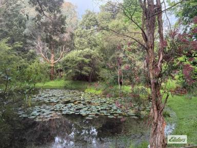 Other (Rural) For Sale - VIC - Gormandale - 3873 - "KOONGOORA" (Image 2)