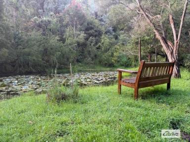 Other (Rural) For Sale - VIC - Gormandale - 3873 - "KOONGOORA" (Image 2)