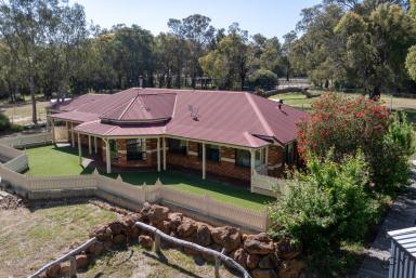 House Sold - WA - Gidgegannup - 6083 - BRING YOUR OWN HORSE!!!  (Image 2)